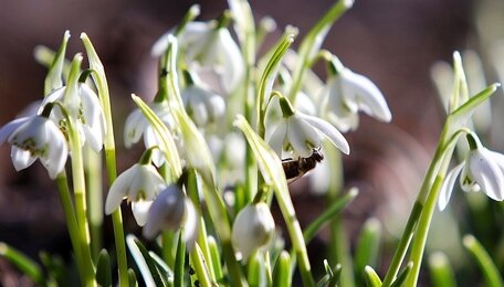 От заморозков к весеннему теплу: прогноз погоды в Калининграде и области на 22 марта
