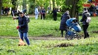 Калининградцев приглашают в парки на предпасхальный субботник и обещают бесплатные дровишки 