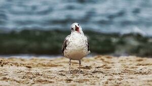 В Калининградской области днём 26 марта потеплеет до +10 градусов — синоптики