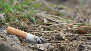 В Калининграде лишь 14% компаний предпочитают некурящих кандидатов — аналитики