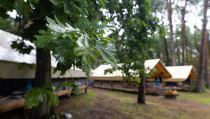 Три недели на природе: сколько стоит отдых в детских лагерях Калининградской области