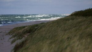 С бодрящим ветром и без намёка на стабильный «плюс»: прогноз погоды в Калининграде и области на 9 апреля