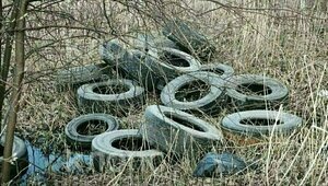 Минприроды Калининградской области проверило берег реки Прохладной, где нашли свалку покрышек  