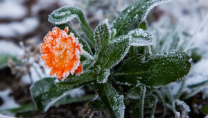 Ночью до -6°C, днём до +10: прогноз погоды в Калининградской области на пятницу