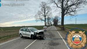 В Нестеровском районе легковушка влетела в дерево, водитель в больнице