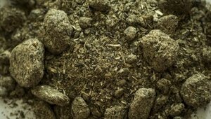 Калининградские аграрии отправили 23 тыс. тонн лакомств для марокканских коров