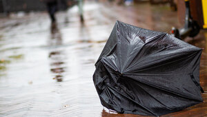 В Калининградской области с ноября держится дефицит осадков, синоптики ждут усиления засухи