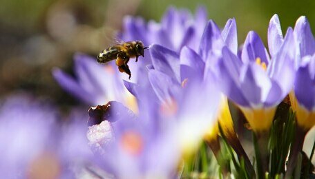 Холода взяли передышку: погода в Калининграде и области на 12 апреля