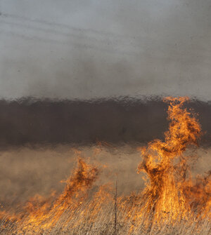 В Калининградской области до конца мая запретят жечь траву, мусор и готовить шашлыки на природе