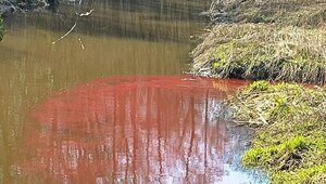 После публикации «Клопс» прокуратура решила проверить внезапно покрасневшую реку Гурьевку