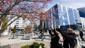 «Пока всего одна бронь»: будет ли удачным новый турсезон для владельцев жилья и что хотят увидеть гости в Калининграде