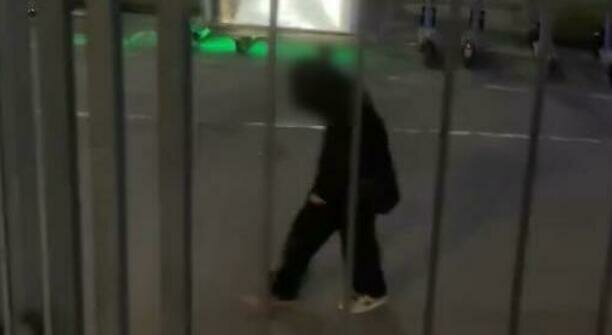 «Дети не в себе!»: два хулигана терроризируют суши-бары в центре Калининграда (видео) 