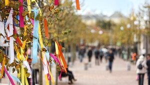 Эксперт рассказал, как распознать гида-мошенника