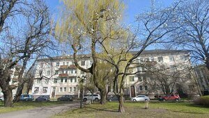 «Где моя магнолия, заблудилась что ли я?»: музыкальный дайджест калининградских новостей за неделю (видео)  