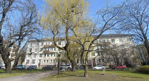 «Где моя магнолия, заблудилась что ли я?»: музыкальный дайджест калининградских новостей за неделю (видео)  