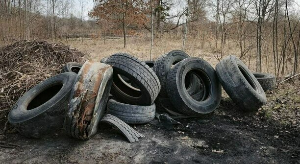 «Дикий способ»: эксперт рассказал, для чего в Калининградской области сжигают старые покрышки  