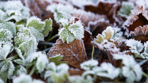 Рассветы и закаты уйдут в минус: прогноз погоды в Калининграде и области на 21 апреля