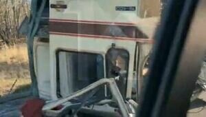 Кабину оторвало и выбросило на дорогу: под Светлогорском тягач врезался в дерево