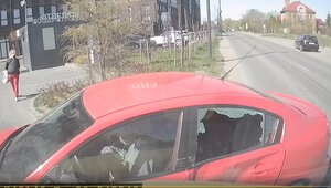 В Калининграде женщина, сидевшая за рулём с собакой, не уступила маршрутке и попала в ДТП (видео)