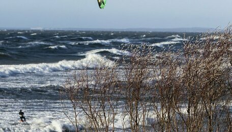 До +15 и без дождей: погода в Калининградской области на 22 апреля