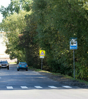 Власти Калининграда рассказали, от чего зависит дальнейшая реконструкция Аллеи Смелых  