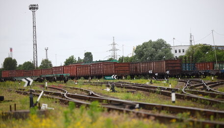 «Мы как школьники, которые прогуляли урок»: калининградский бизнес — о блокировках со стороны Россельхознадзора