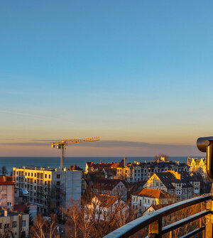 От «Котомафии» до модной экскурсии: три идеи для нескучного вечера в Зеленоградске