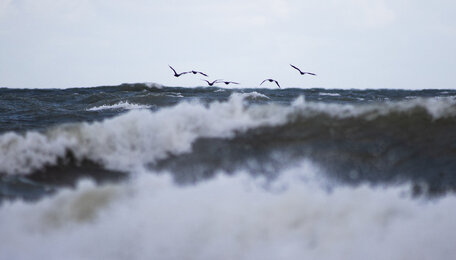 В воскресенье в Калининградской области ожидают штормовой ветер и дождь с ледяной крупой