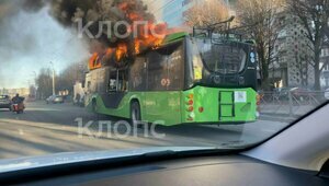 Дятлова рассказала о судьбе «собрата» сгоревшего на Московском проспекте троллейбуса