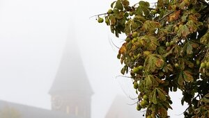 «Хотим избежать закрытия»: директор Кафедрального собора — о реконструкции здания  