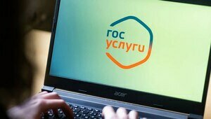 В России гражданство ребёнка теперь можно подтвердить онлайн  