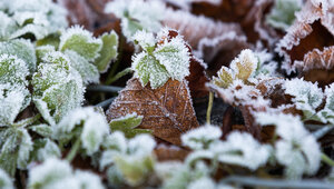 Назад в будущее: в Калининградской области до мая погода будет напоминать март