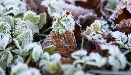 Назад в будущее: в Калининградской области до мая погода будет напоминать март