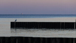 В Пионерский в майские праздники зайдёт паром «Антей»