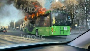 Для Калининграда купят новые троллейбусы взамен сгоревшего и его «собрата»  
