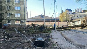 Власти Калининграда рассказали о причинах падения деревьев на Галицкого (фото)  