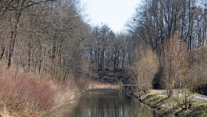 К вечеру температура опустится до -1: прогноз погоды в Калининграде и области на 28 апреля
