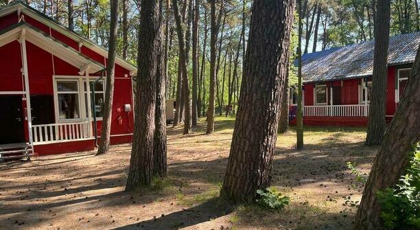 В лагерях Калининградской области в 2025 году отдохнули почти 48 тысяч детей, из других регионов приехали 288  