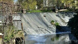 Причина вони установлена: в Гагаринский ручей попадают нелегальные стоки — минприроды