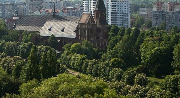 Калининград попал в десятку популярных направлений для апрельского отдыха рядом с лесом или парком