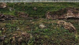 При проектировании центра «Россия» не планируется раскапывать подвалы Королевского замка  