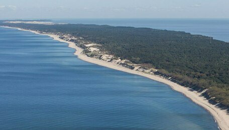 «Стена смерти» — это не метафора: орнитолог — о проекте высотной гостиницы на Куршской косе 