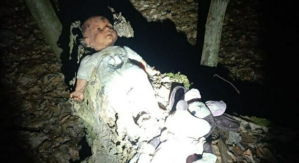 К деревьям прибиты кукольные головы: о лесных капищах и проказах лешего рассказали калининградцы