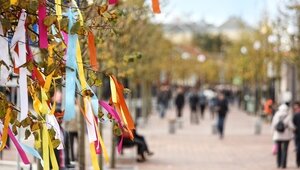 Минтруд опубликовал проект календаря праздников на 2027 год