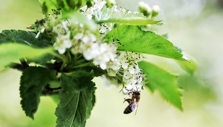Зальёт и продует: что готовит погода жителям Калининградской области в среду