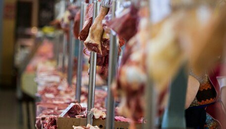 В Калининградской области выросло производство мяса и яиц, а рыбная отрасль нарастила обороты  