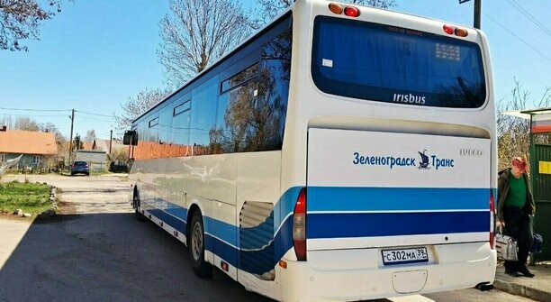 Кондуктора автобуса Калининград — Зеленоградск уволили после скандала с высаженными из-за собаки детьми