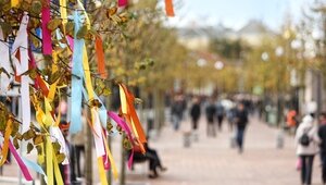 Каждый второй калининградец против объединения майских праздников за счёт январских — опрос