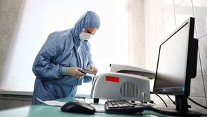 Температура до 40 градусов и риск поражения почек: эксперт рассказал об одном из опаснейших штаммов хантавируса