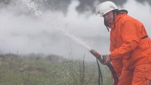 В Калининграде за территорией порта загорелось камышовое поле (видео)